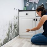 Louer un appartement sans CDI : conseils pratiques et solutions alternatives