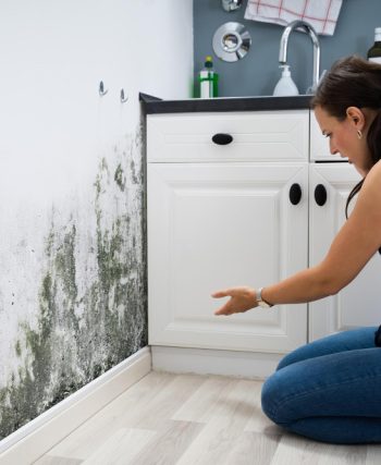 méthodes efficaces pour Aérer un mur humide