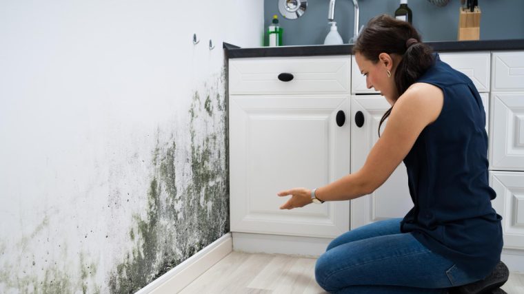 méthodes efficaces pour Aérer un mur humide
