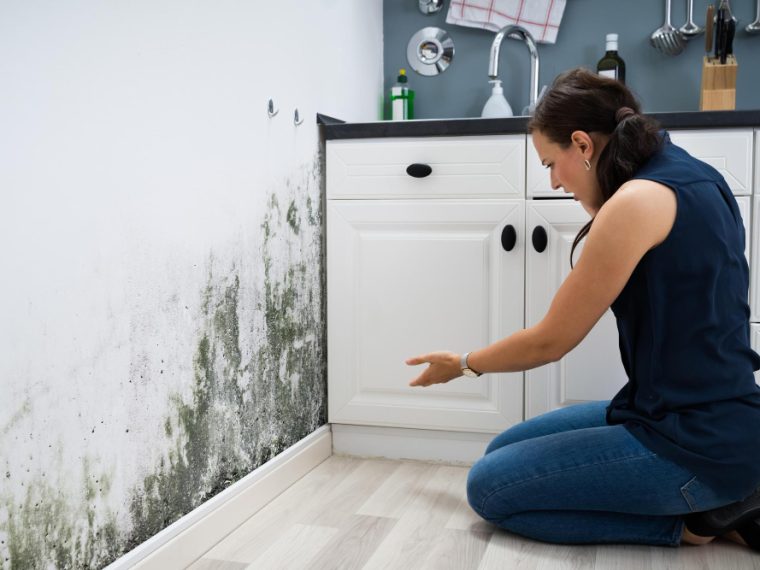 méthodes efficaces pour Aérer un mur humide